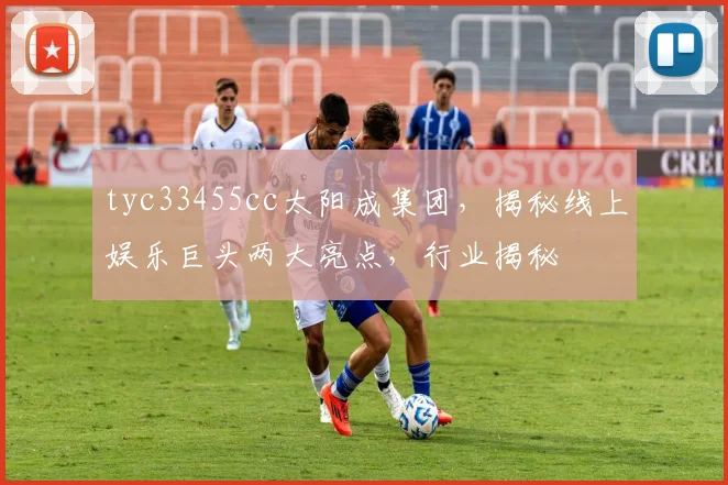 tyc33455cc太阳成集团，揭秘线上娱乐巨头两大亮点，行业揭秘